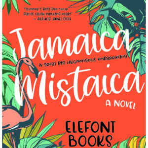 Premade illustrated ebook cover for rom-com, chick-lit, or humor.